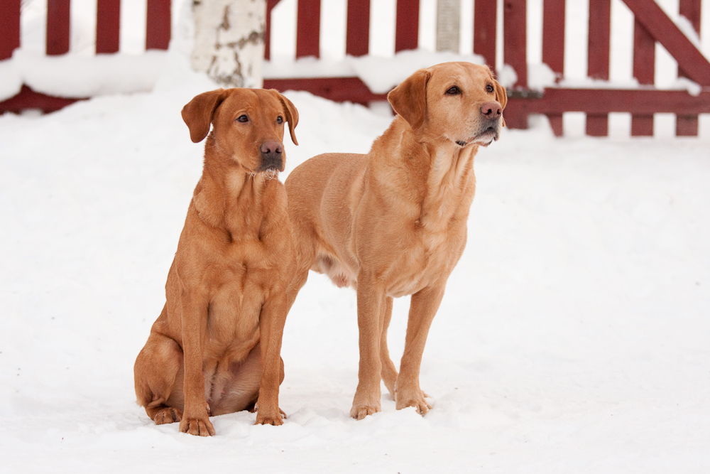 Uutiset muuttavat blogiin! / News move into&nbsp;blog!