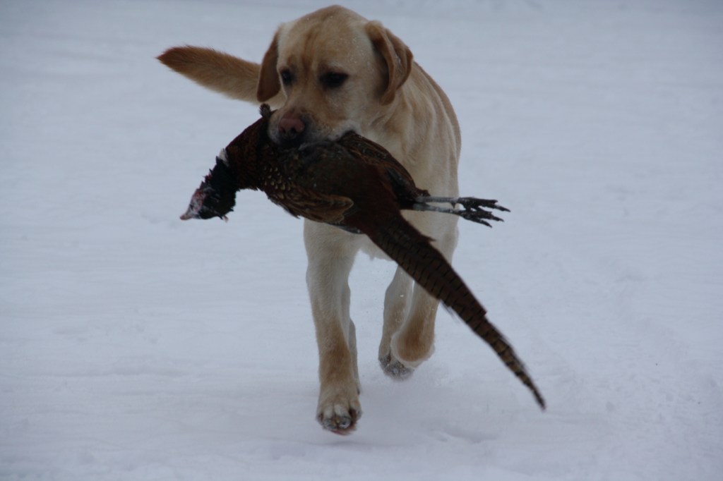 Itsensä ylittämistä / Exceeding&nbsp;ourselves!