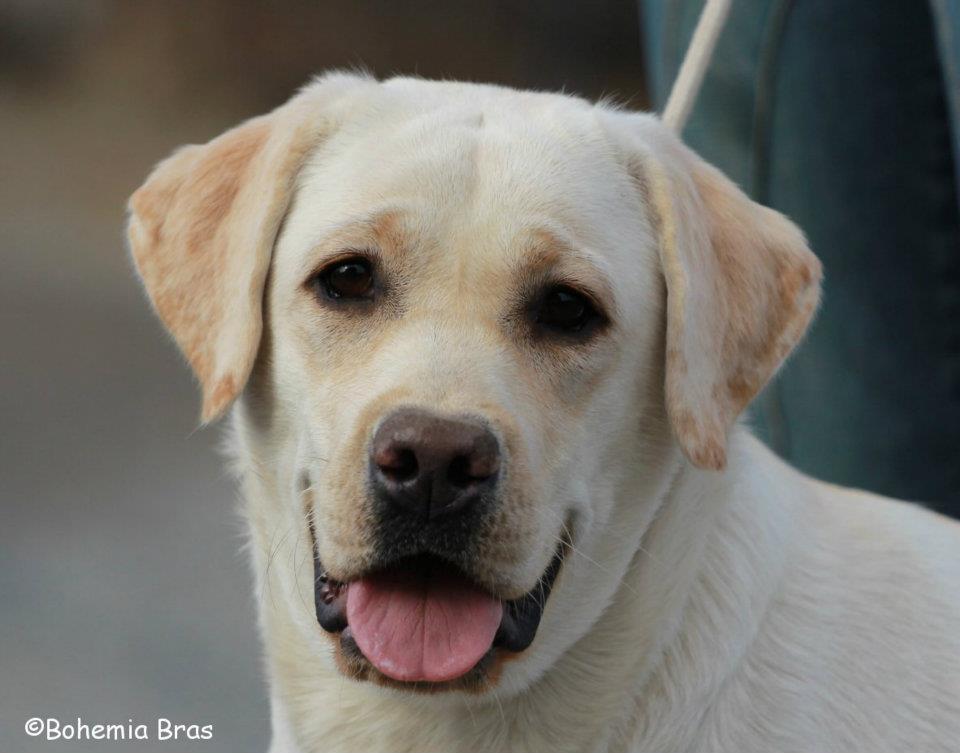 Uusia kuvia Carl-Philipin jälkikasvusta / New pictures of Carl-Philip’s offspring