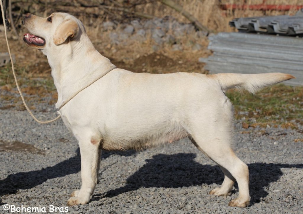 Carl-Philipin jälkikasvua / Carl-Philip´s&nbsp;offspring