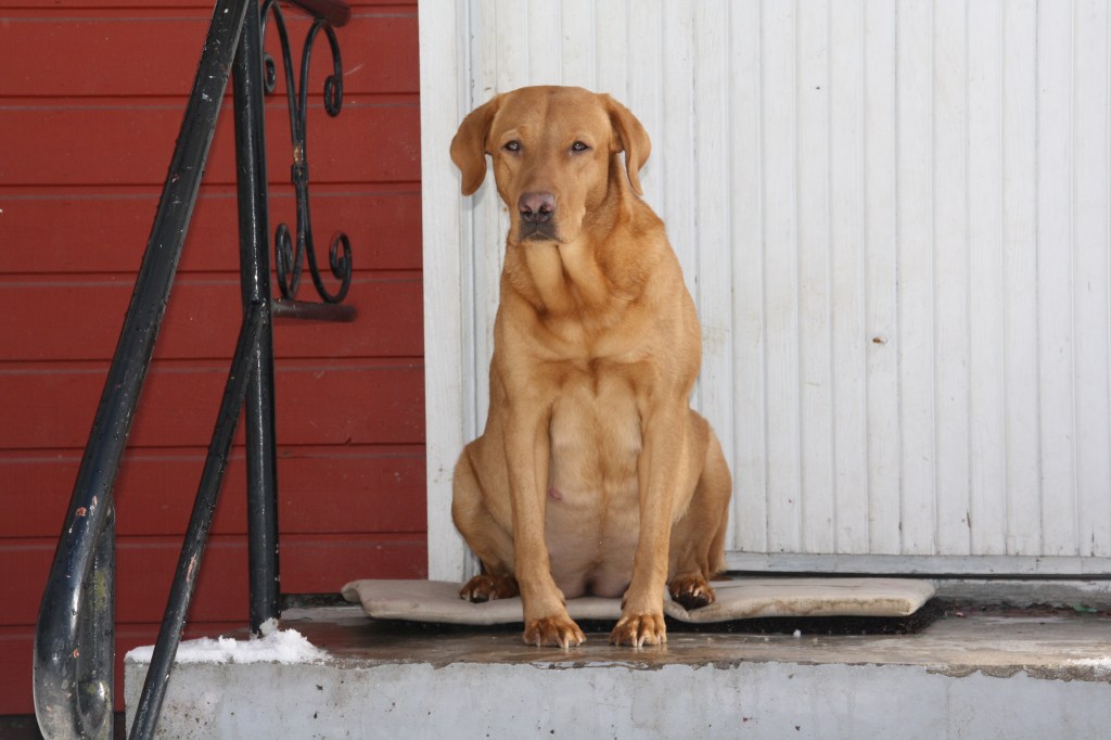 Enna on saapunut / Enna has&nbsp;arrived!!