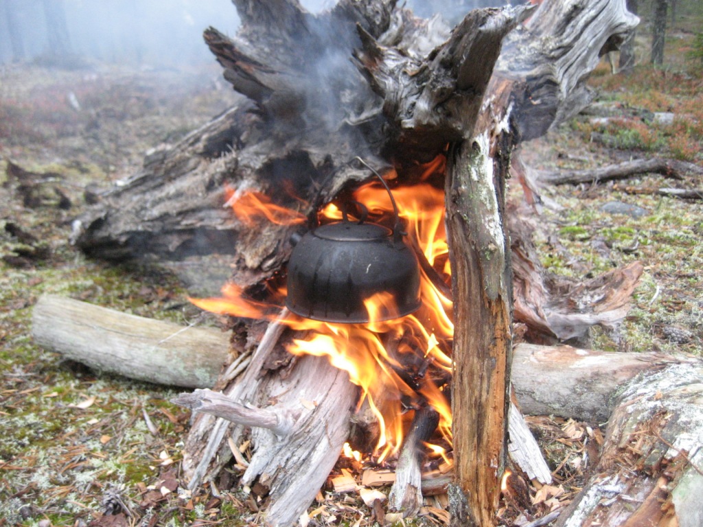 Terveisiä Lapista / Greetings from&nbsp;Lapland!