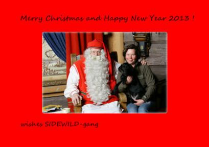 Christmas_2012_web