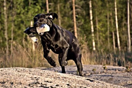 DOC Juli 2013_IMG_7928