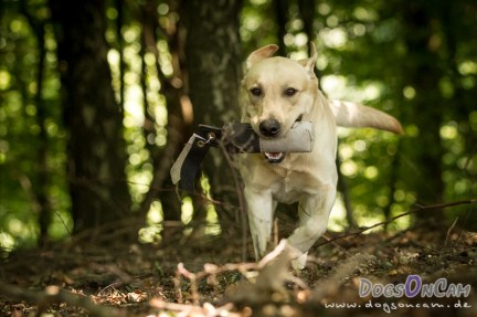 DOC Juli 2013_IMG_7871