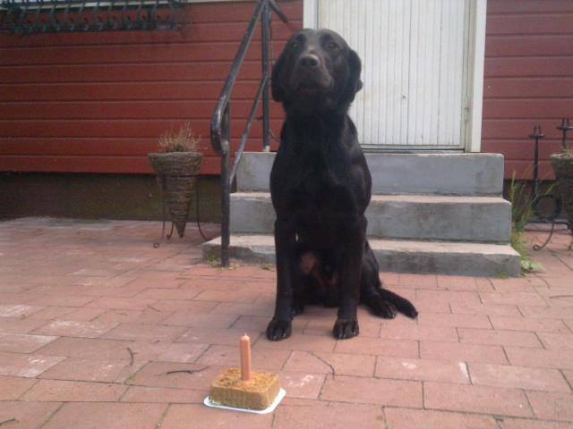 Aidan´s first birthday!