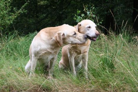 Daniel with his Daddy