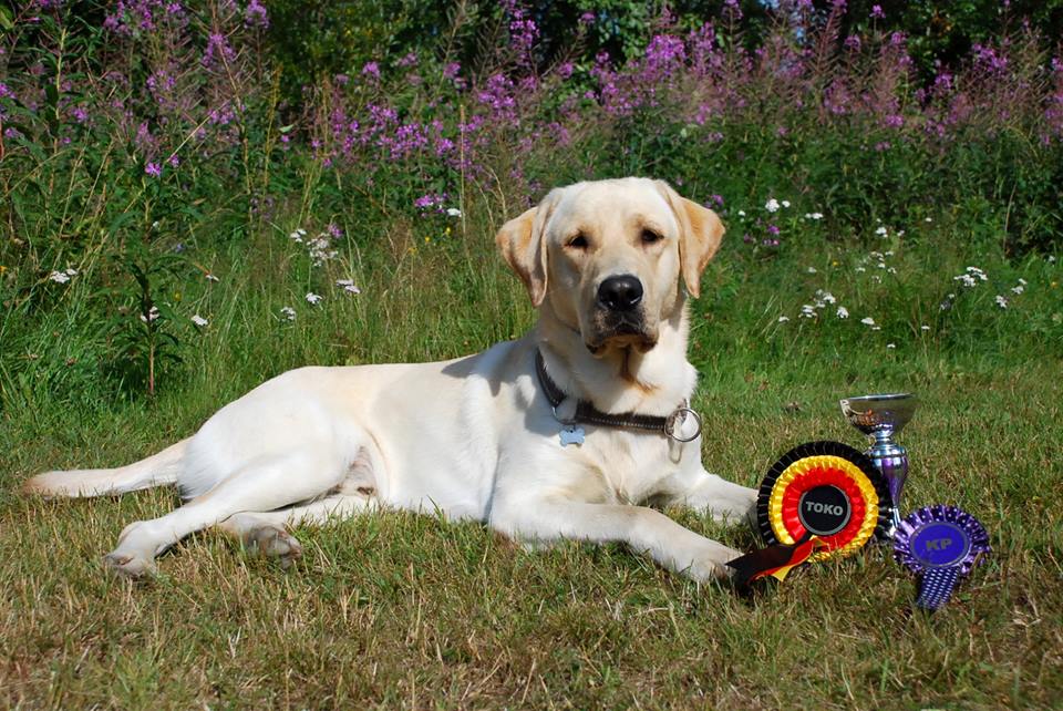 Hienoja tuloksia / Great&nbsp;results!!