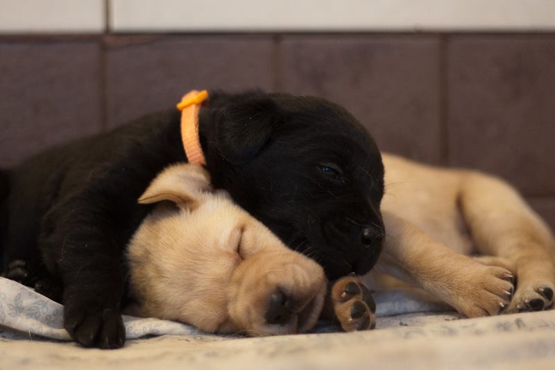 Uusi vuosi 2017 uudet kujeet / New Year&nbsp;2017