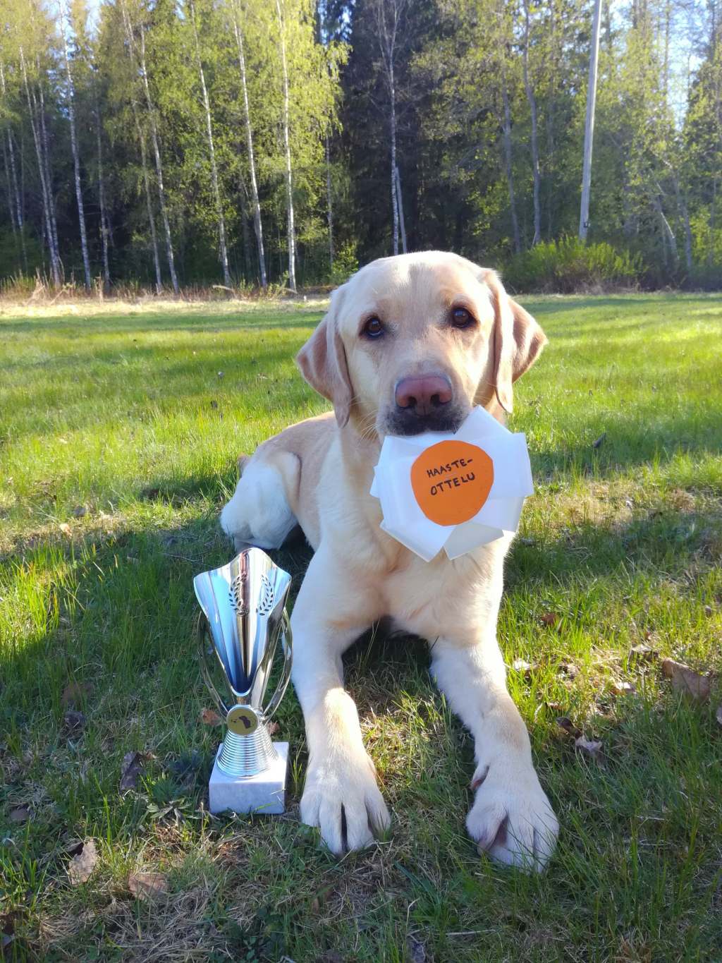 Ruffe ja Pyry ovat urakoineet hienoja&nbsp;tuloksia!