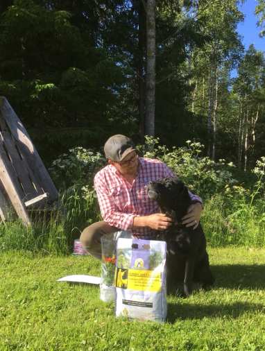 Pyry VOI1_kesäkuu 2019