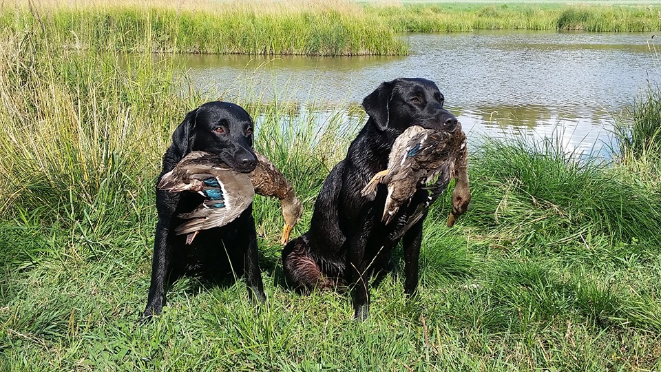 Sorsastuksen aloitus_2019