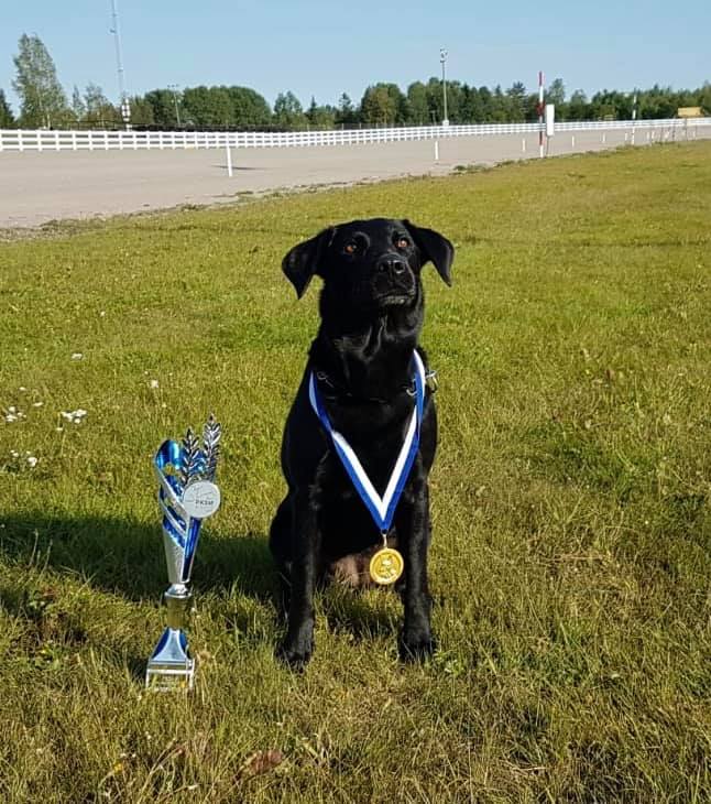 Suomen Mestari 2019!!!