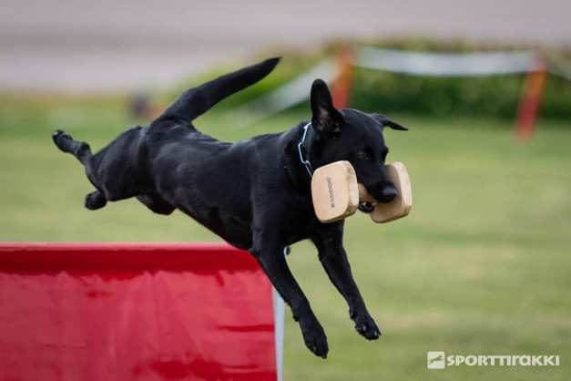 Varjo Suomen Mestari_3