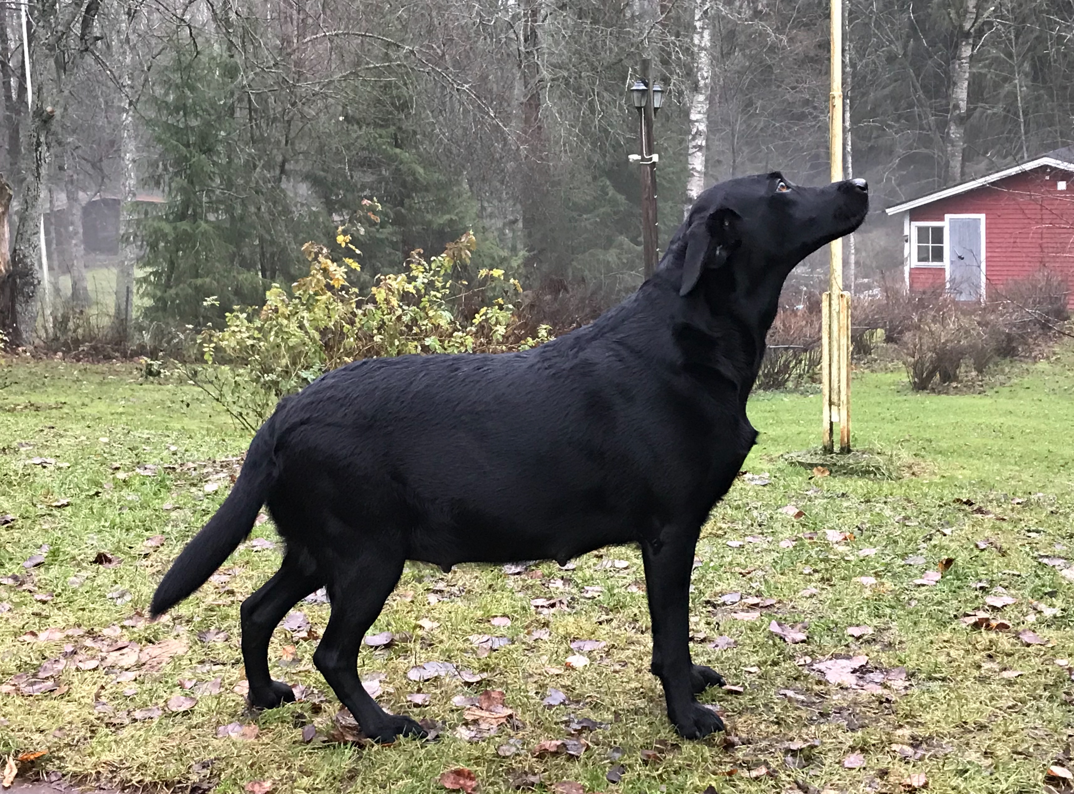 D60ACFDB-B1C2-4A00-8E64-F6DA2FB83E32