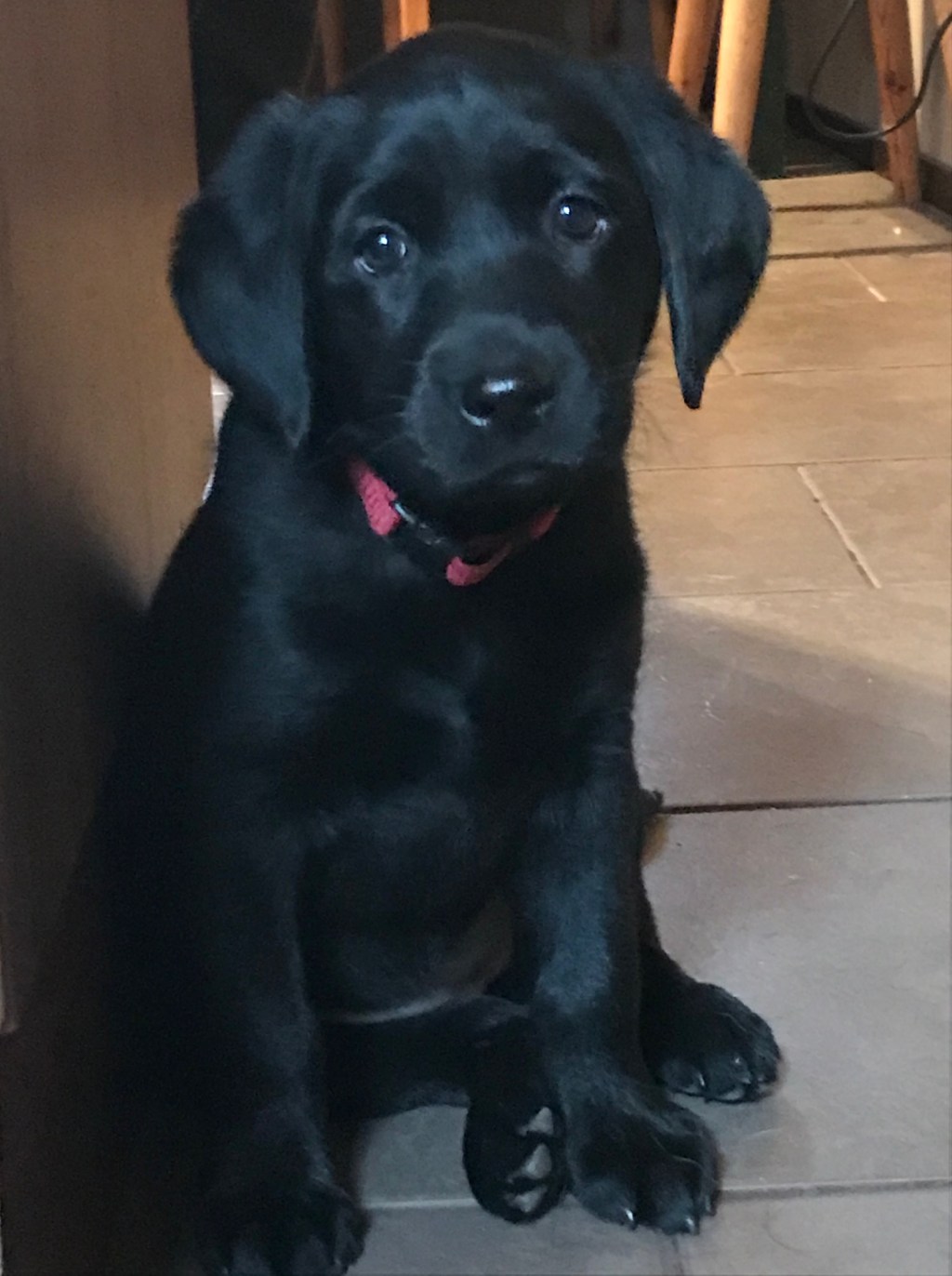 Erilainen kevät ja kesä