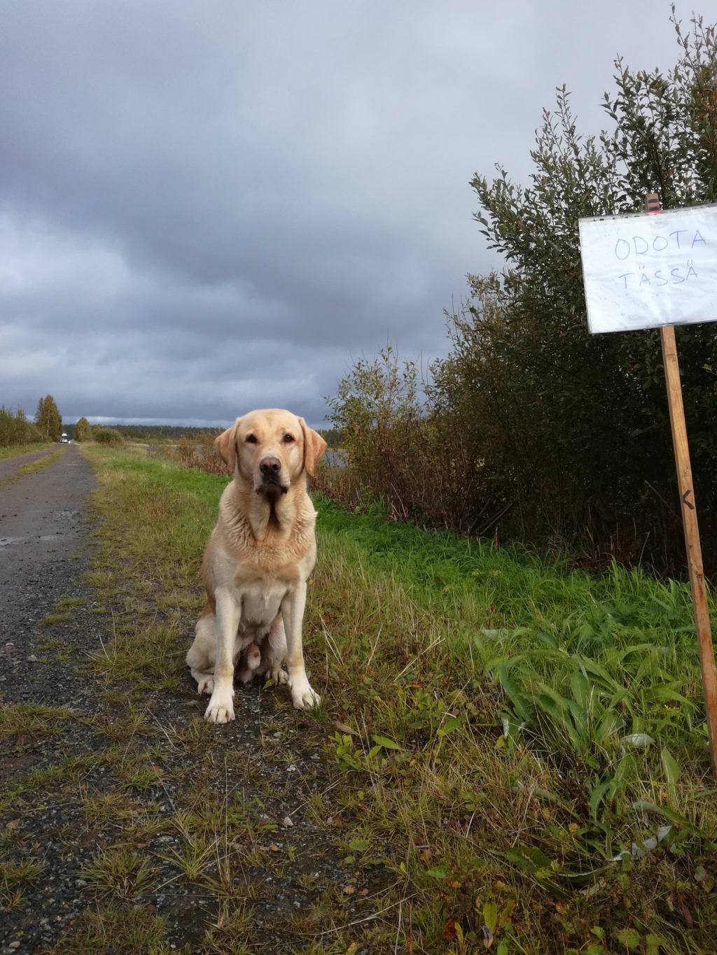 Ruffelle NOME-B VOI1!!!